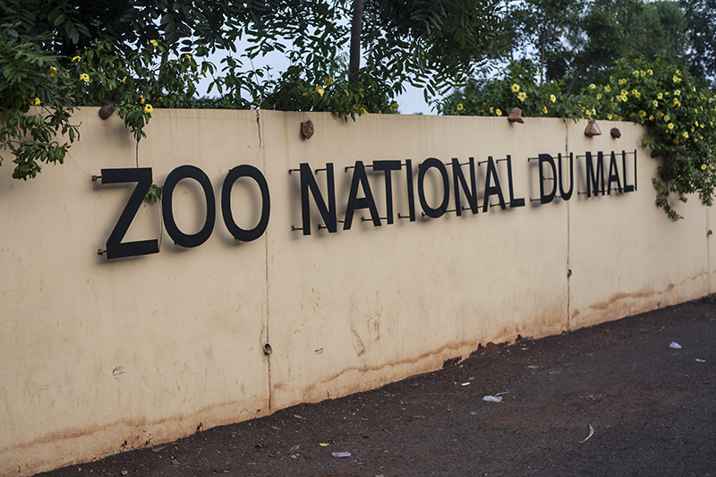 Zoo du Mali